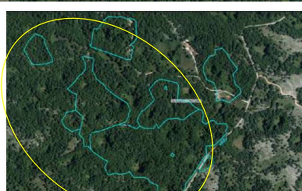 immagine annuncio 7 di 10