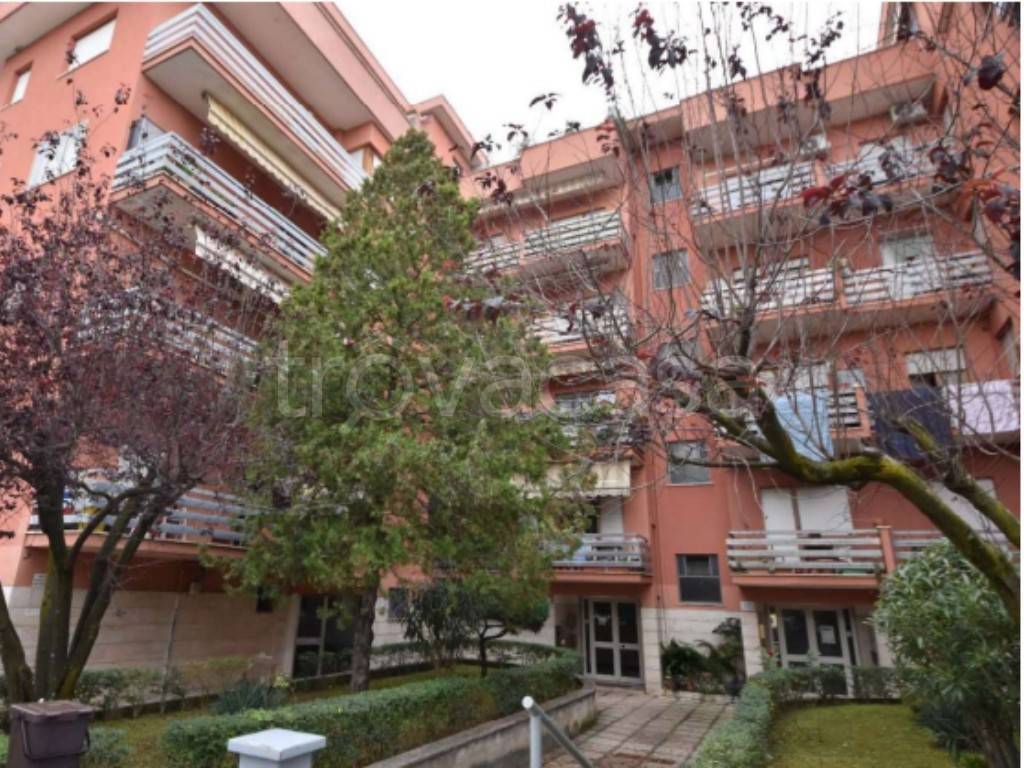 immagine annuncio 1 di 12