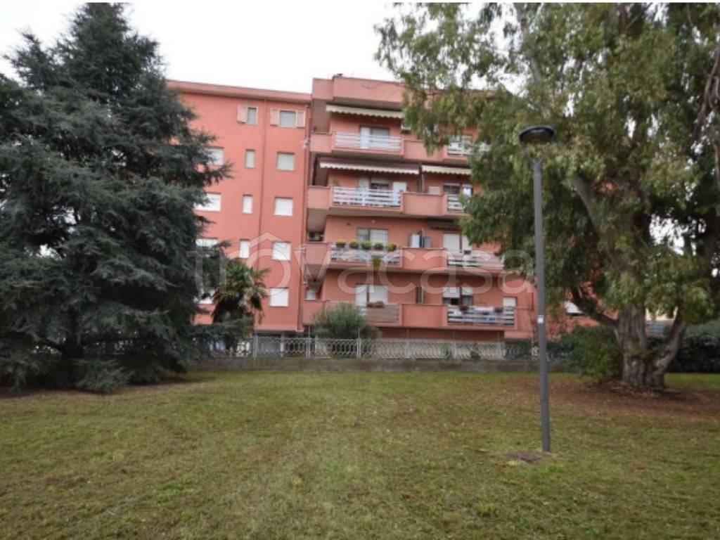 immagine annuncio 2 di 12