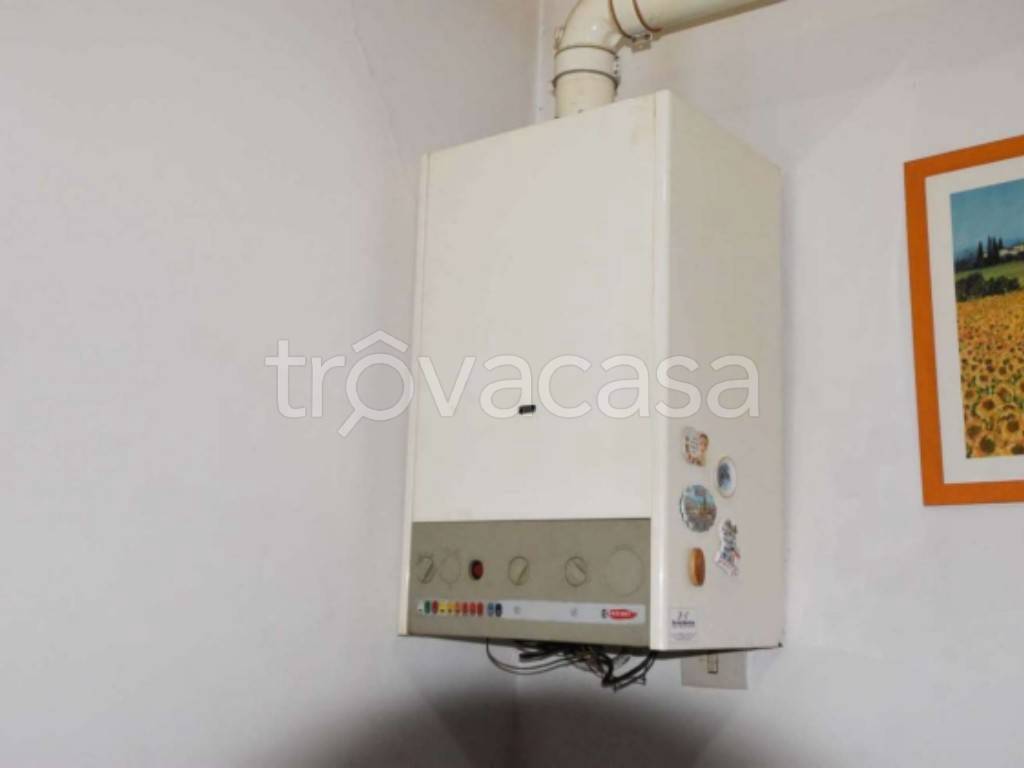 immagine annuncio 7 di 12