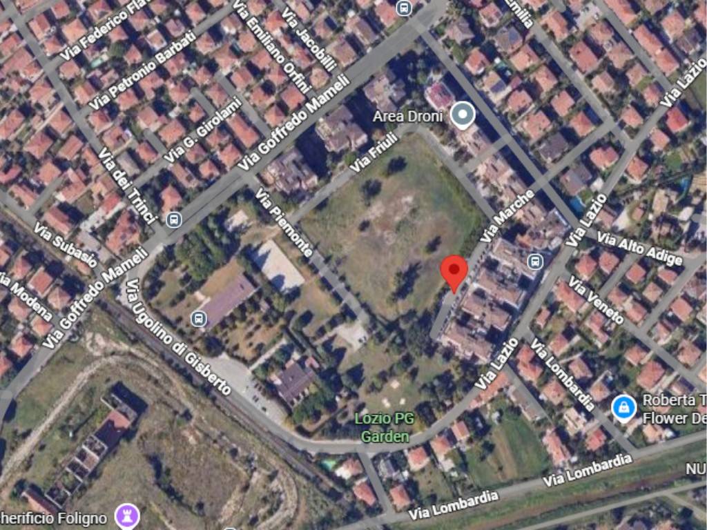 immagine annuncio 10 di 12