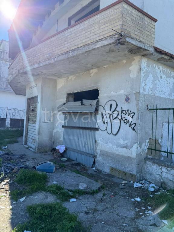 immagine annuncio 3 di 9