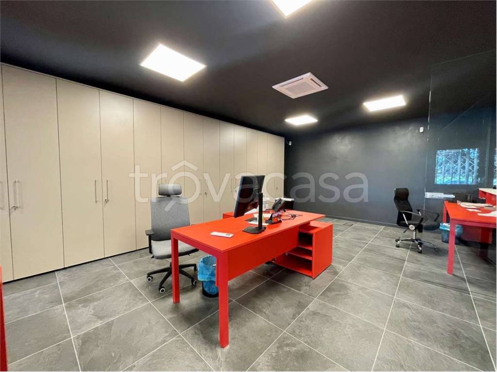 immagine annuncio 3 di 12