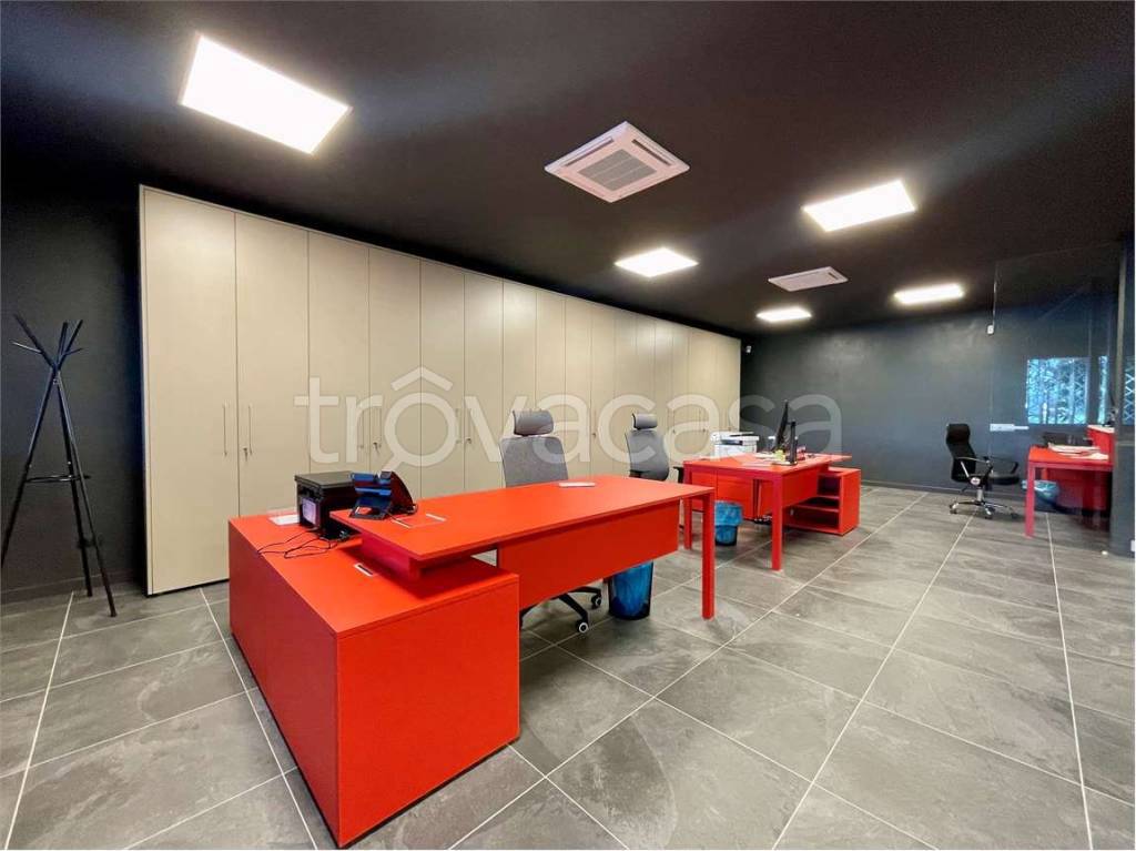 immagine annuncio 4 di 12