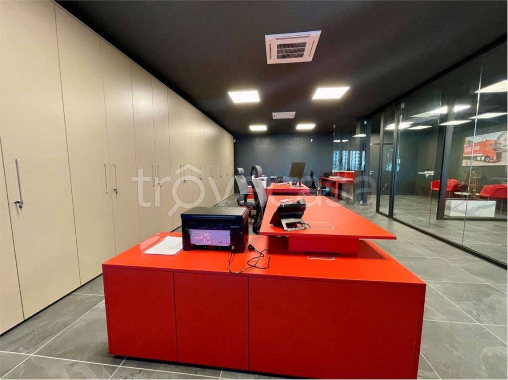 immagine annuncio 5 di 12