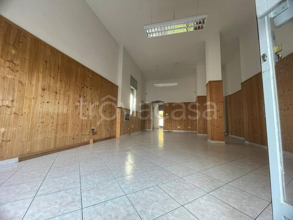 immagine annuncio 3 di 7