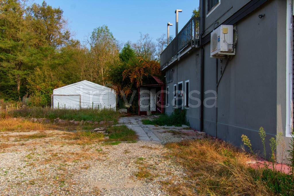 immagine annuncio 4 di 8