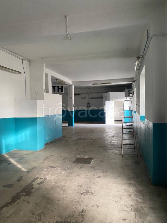 immagine annuncio 5 di 13