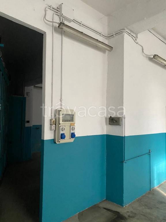 immagine annuncio 6 di 13