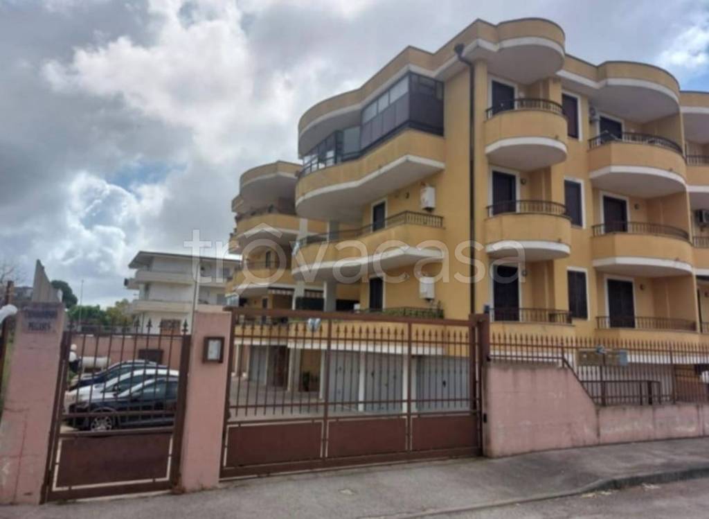 immagine annuncio 9 di 11