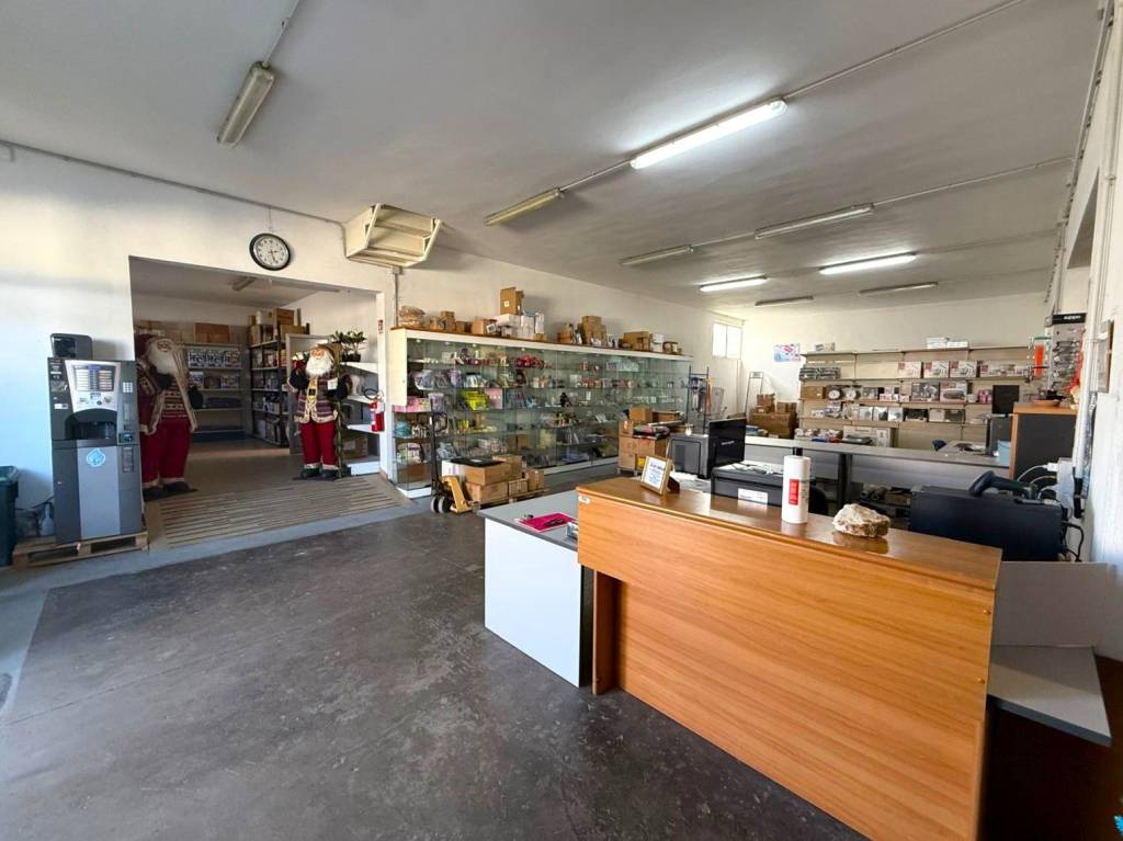 immagine annuncio 10 di 15