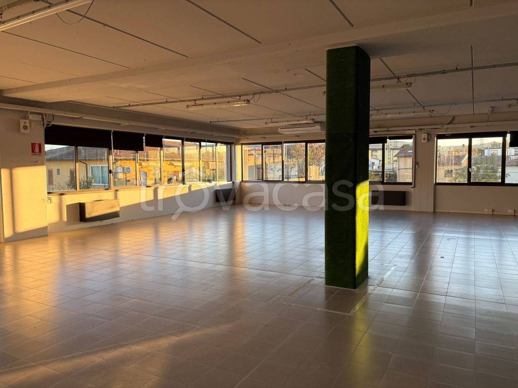 immagine annuncio 5 di 11