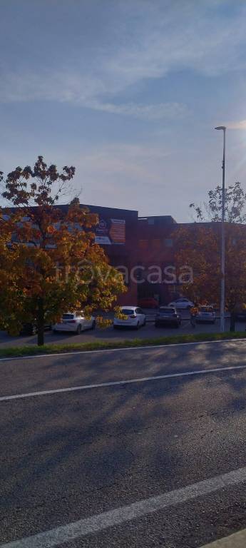 immagine annuncio 5 di 6