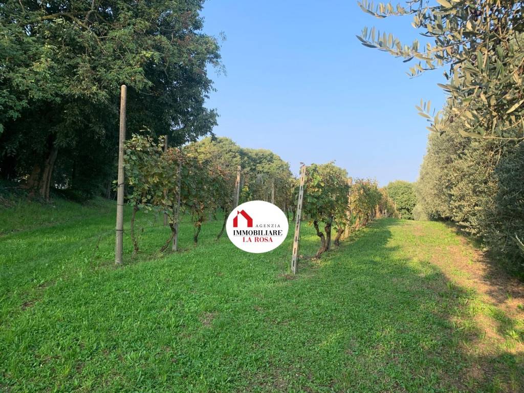 immagine annuncio 6 di 13