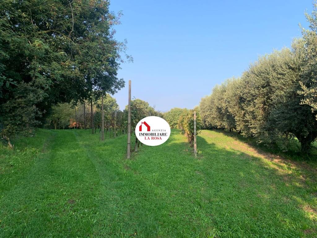 immagine annuncio 7 di 13