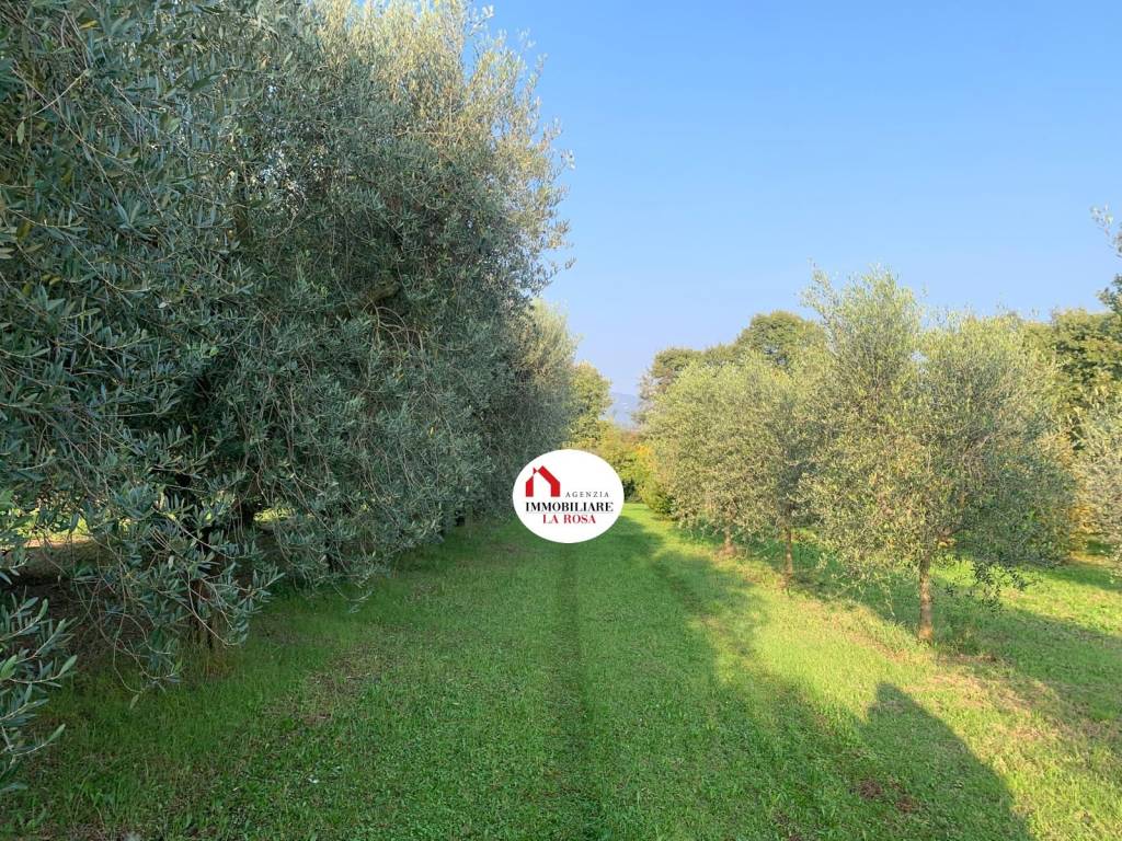 immagine annuncio 9 di 13