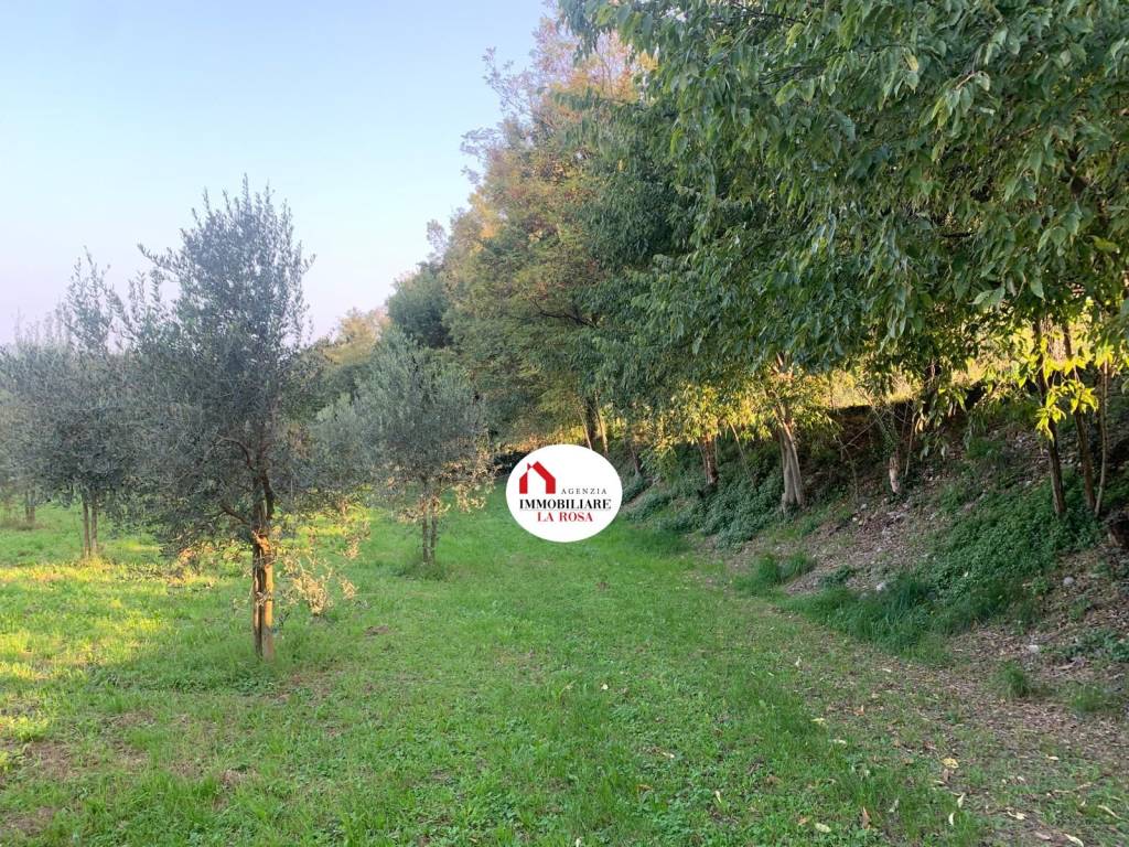 immagine annuncio 10 di 13