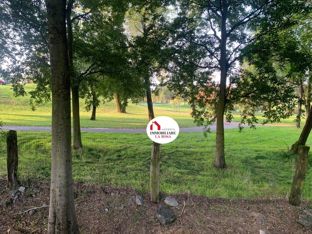 immagine annuncio 12 di 13