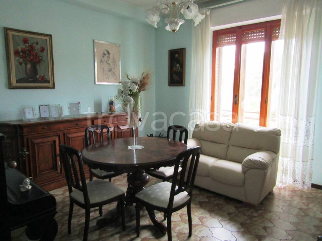 immagine annuncio 3 di 14