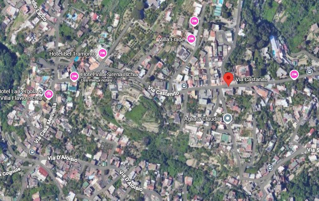 immagine annuncio 10 di 11