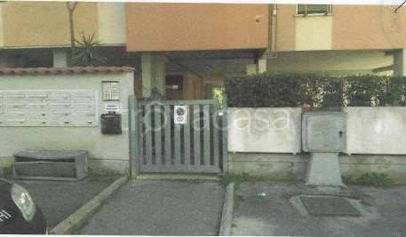 immagine annuncio 2 di 11