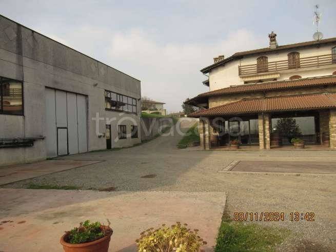 immagine annuncio 5 di 8