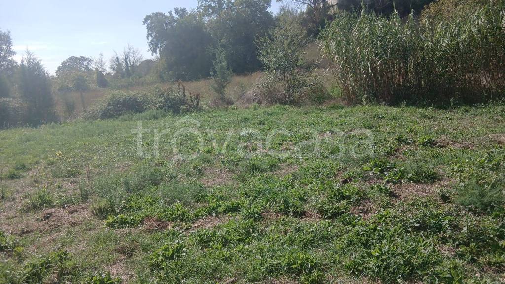 immagine annuncio 8 di 11