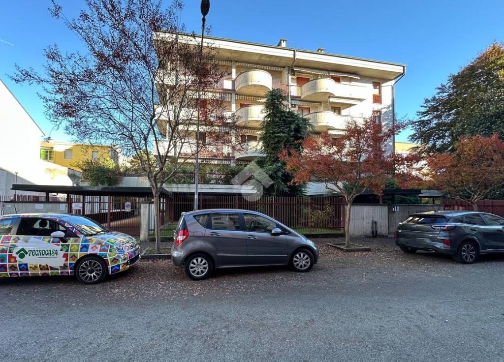 immagine annuncio 3 di 15