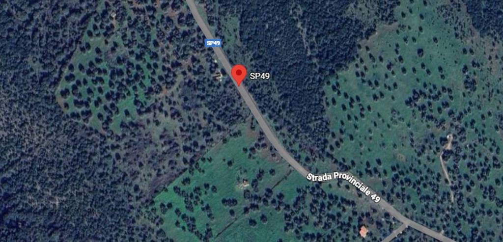 immagine annuncio 1 di 11