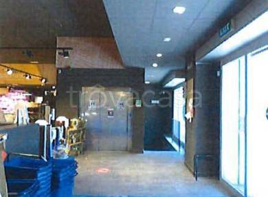 immagine annuncio 6 di 14