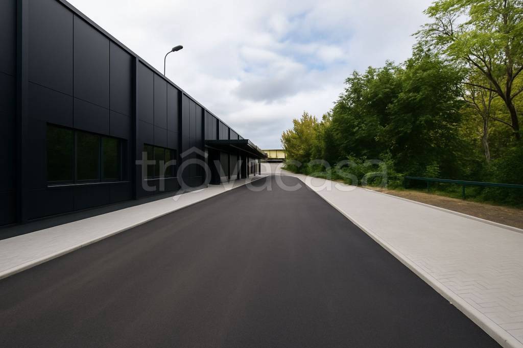 immagine annuncio 10 di 13