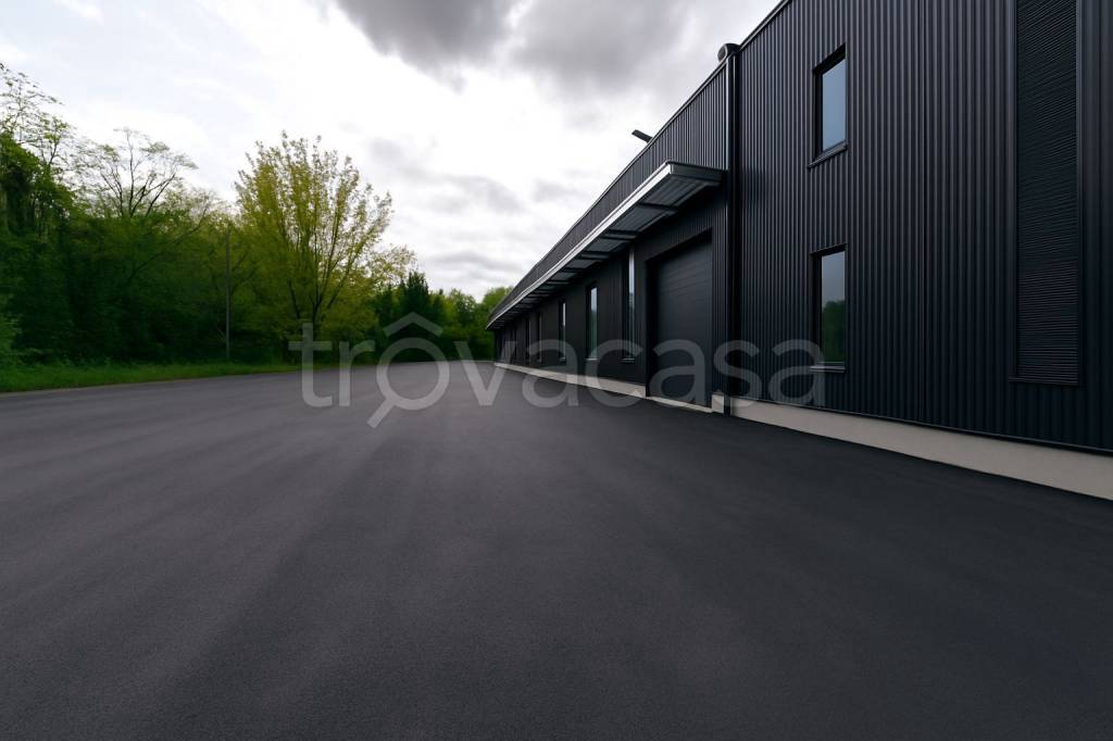 immagine annuncio 12 di 13