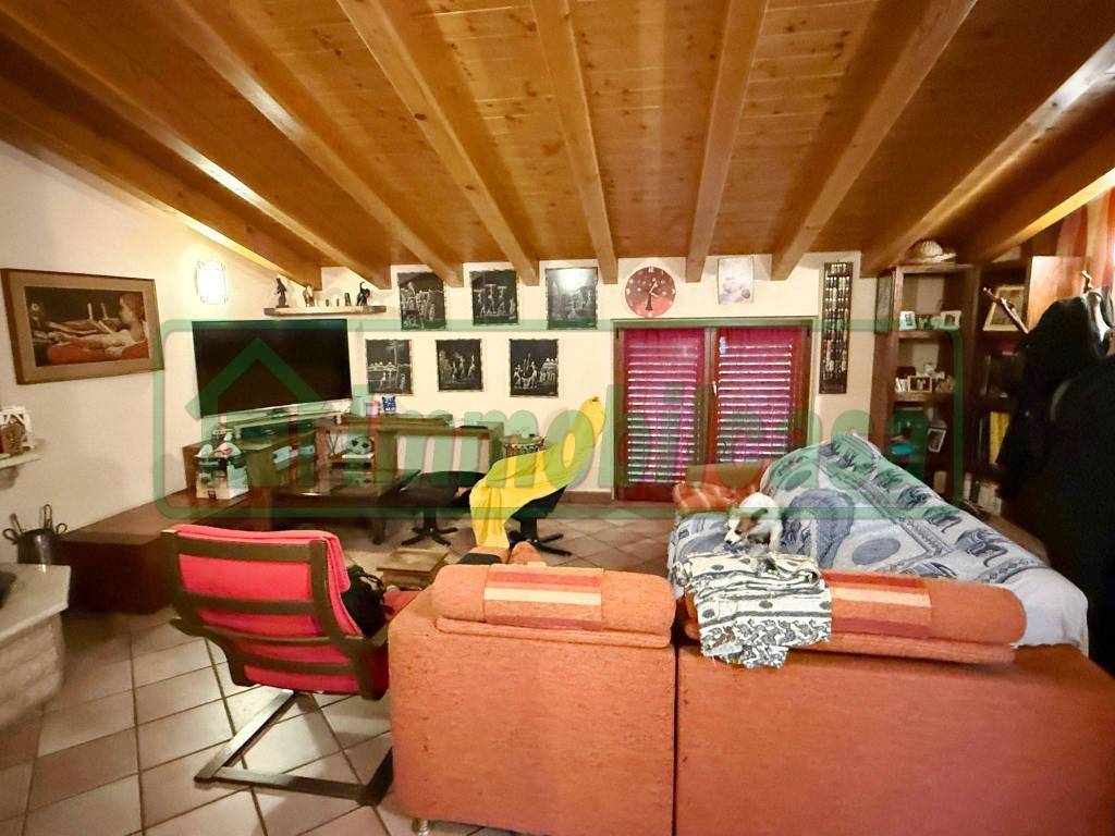 immagine annuncio 4 di 14