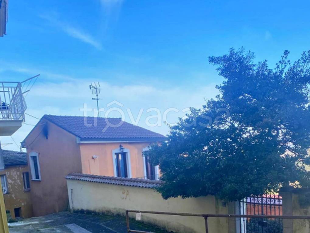 immagine annuncio 9 di 14