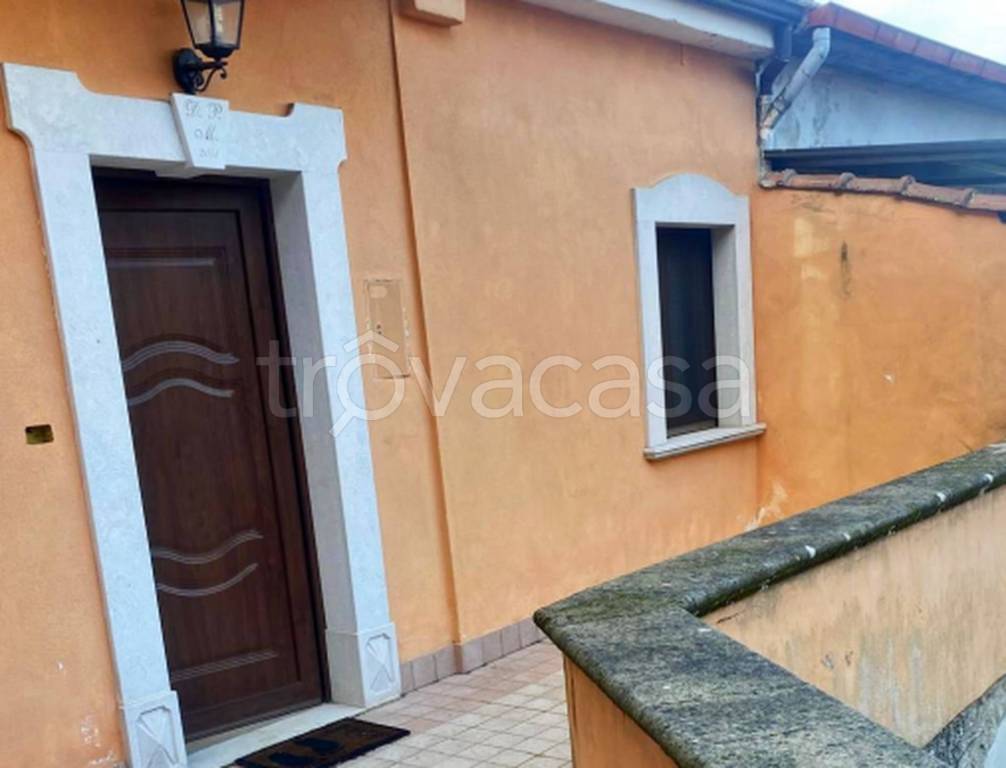 immagine annuncio 11 di 14