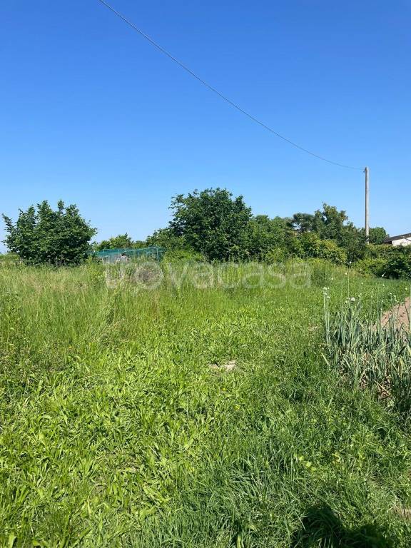 immagine annuncio 3 di 4