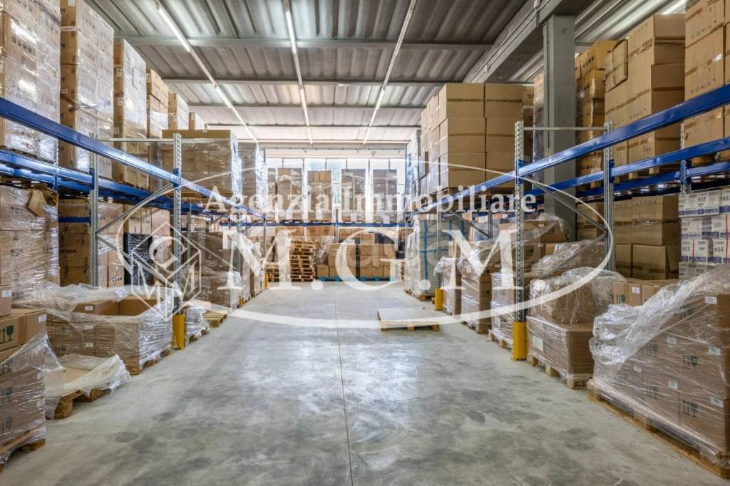 immagine annuncio 9 di 15