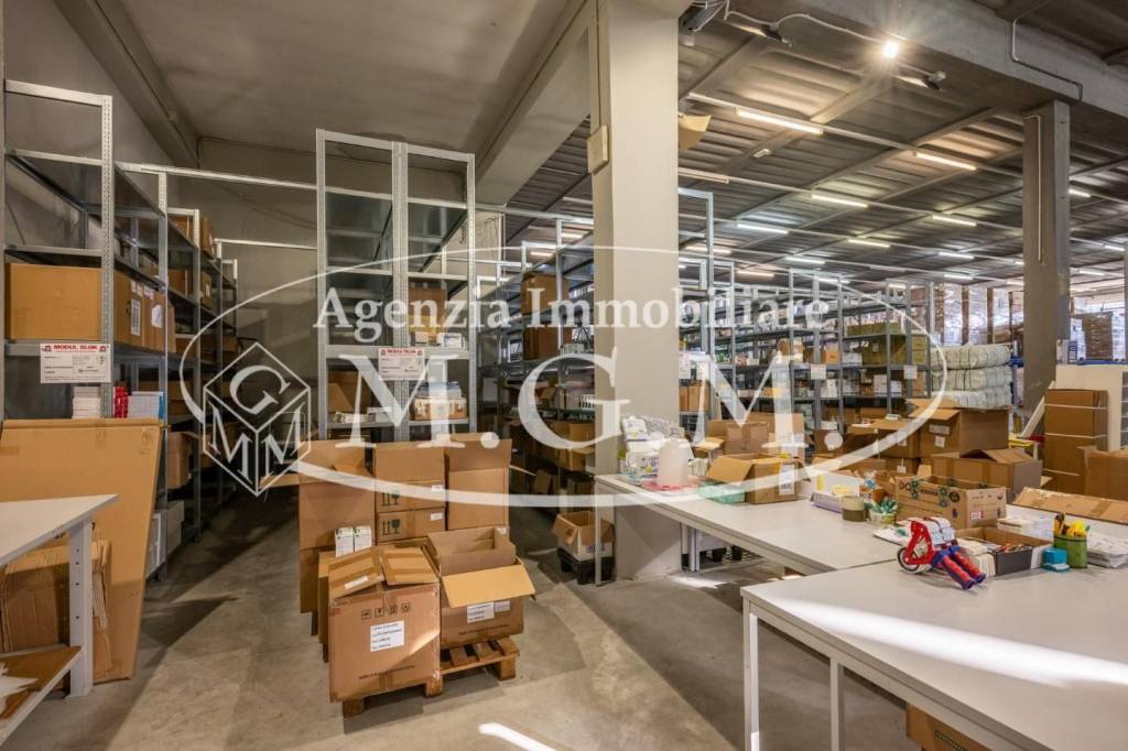 immagine annuncio 12 di 15