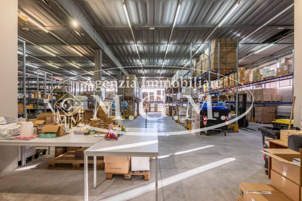 immagine annuncio 13 di 15