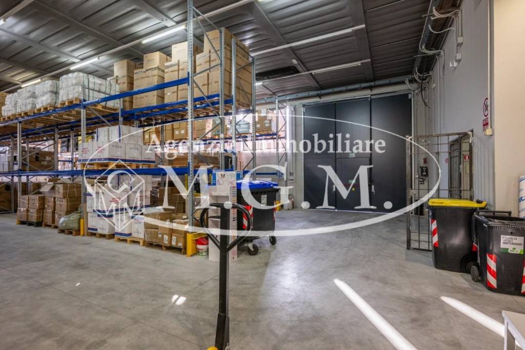 immagine annuncio 14 di 15