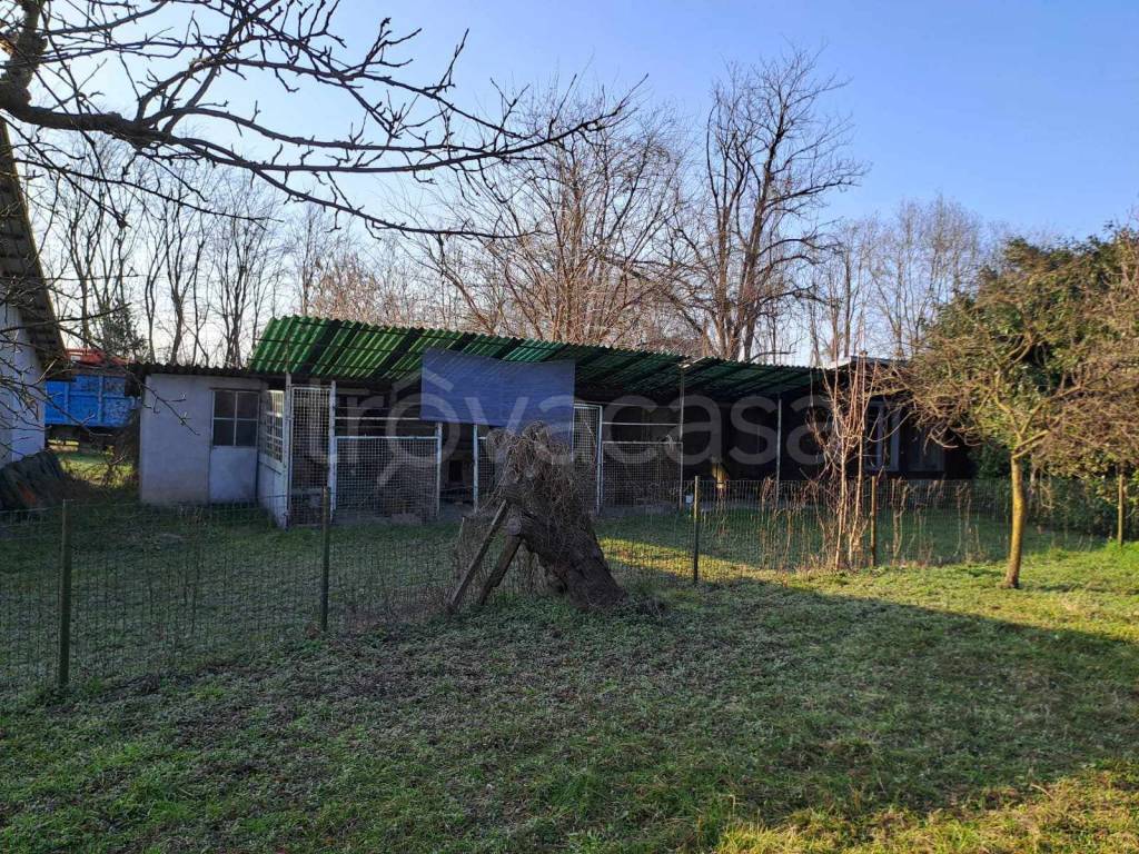 immagine annuncio 3 di 15