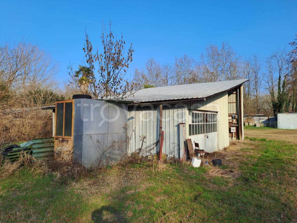 immagine annuncio 6 di 15