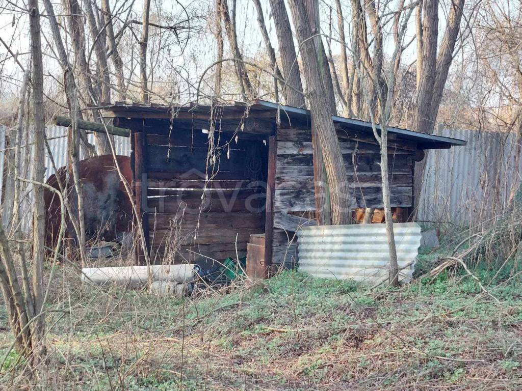 immagine annuncio 11 di 15