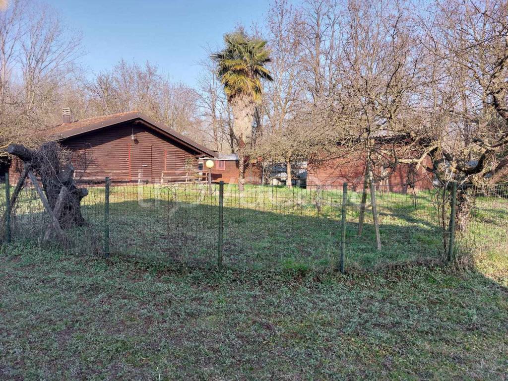 immagine annuncio 12 di 15