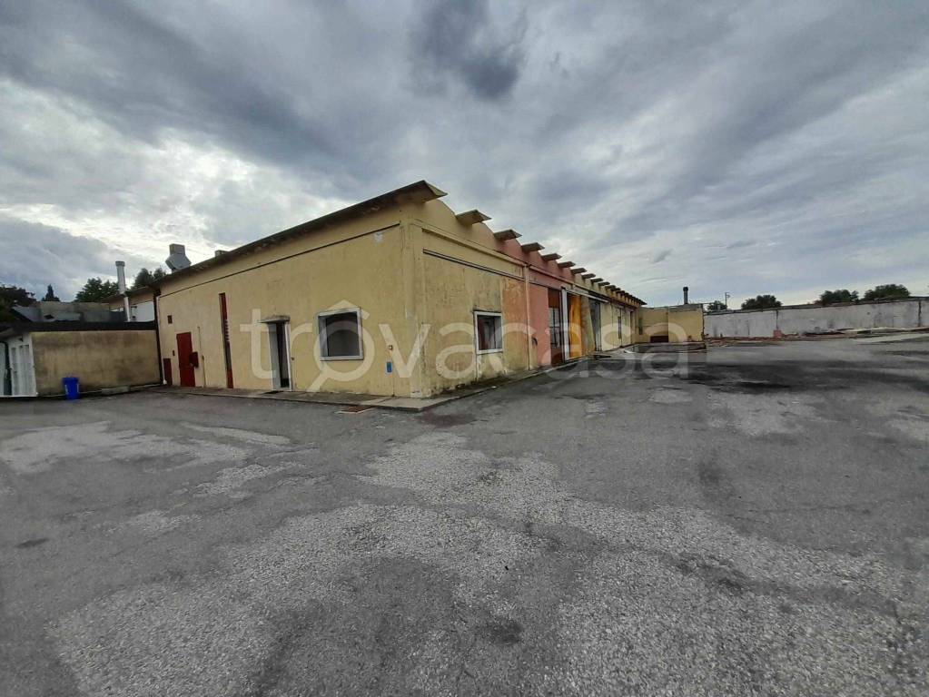 immagine annuncio 1 di 7