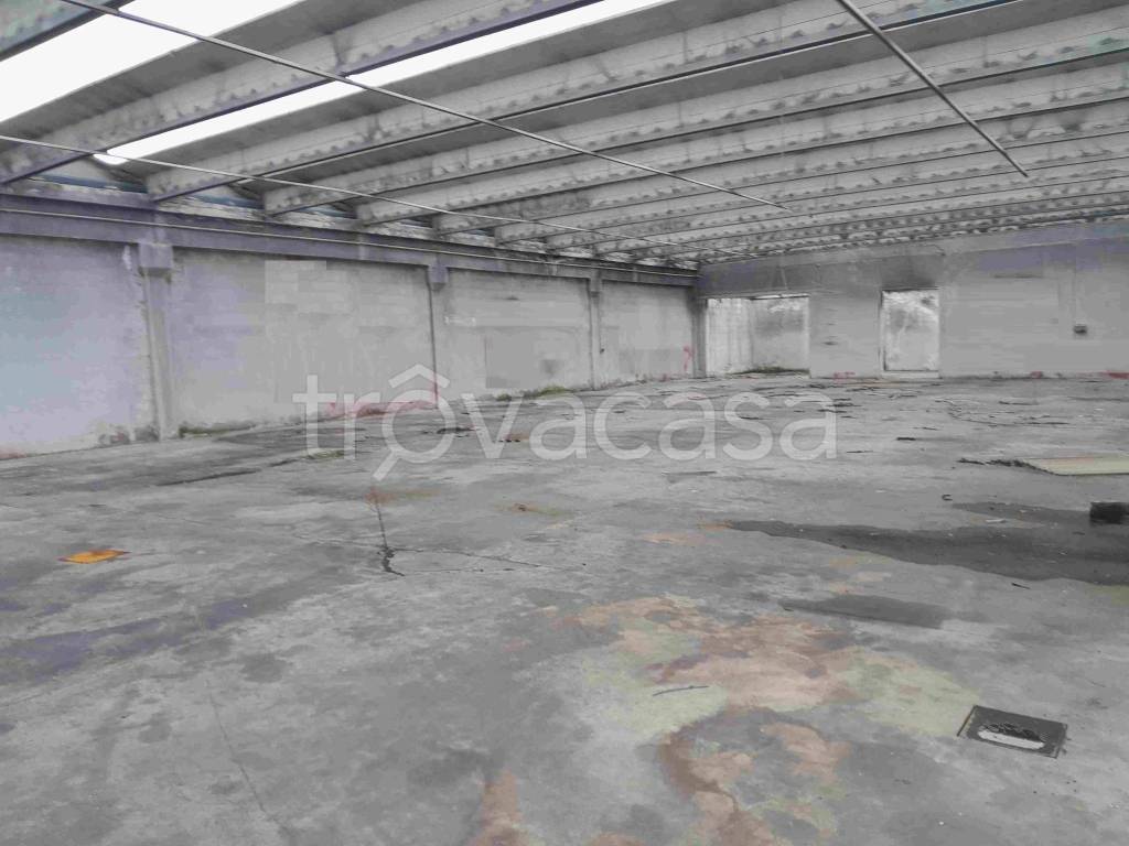 immagine annuncio 2 di 7