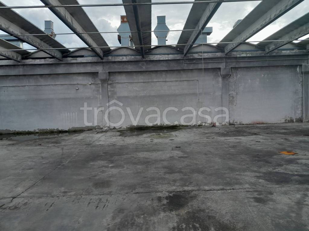 immagine annuncio 3 di 7