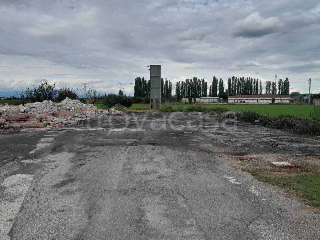 immagine annuncio 4 di 7