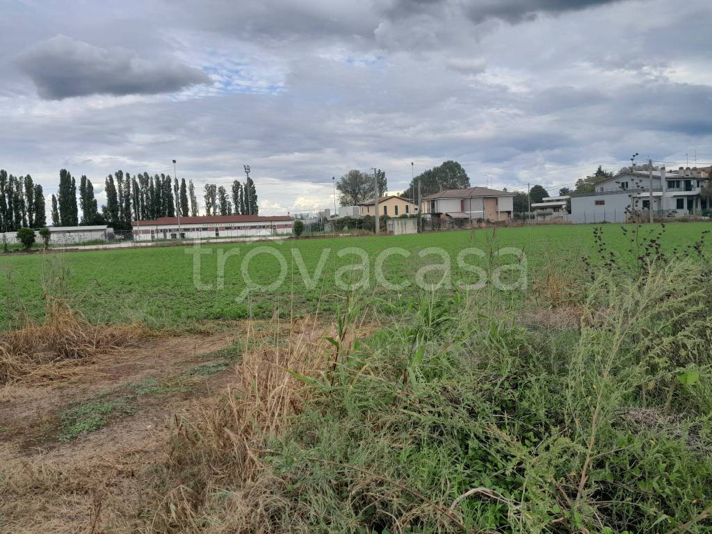 immagine annuncio 6 di 7