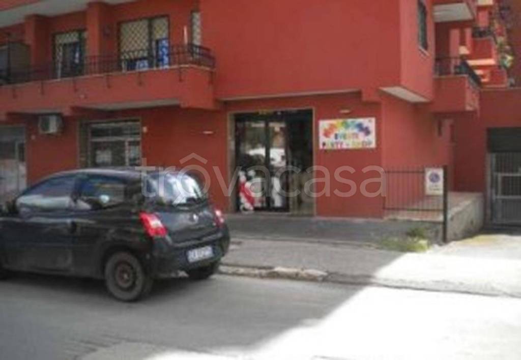 immagine annuncio 5 di 12